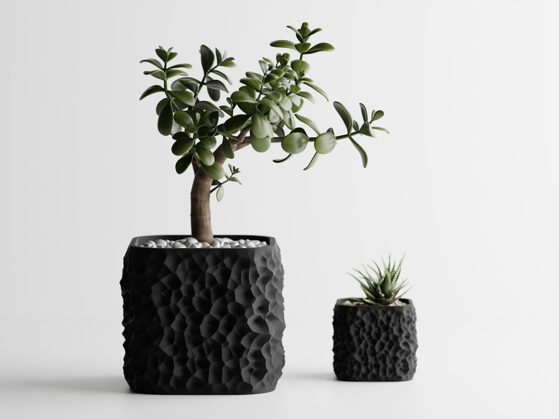 TerraForma