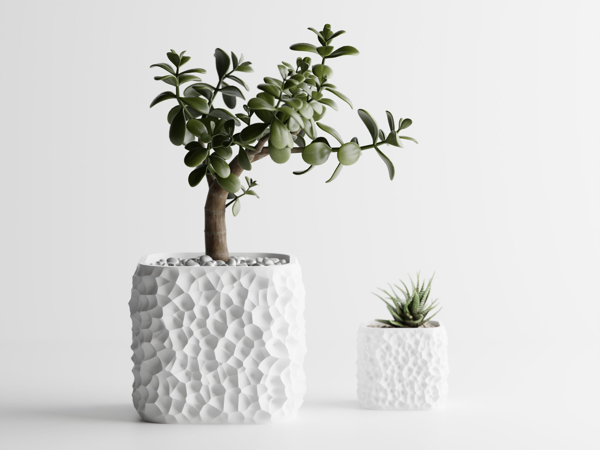 TerraForma