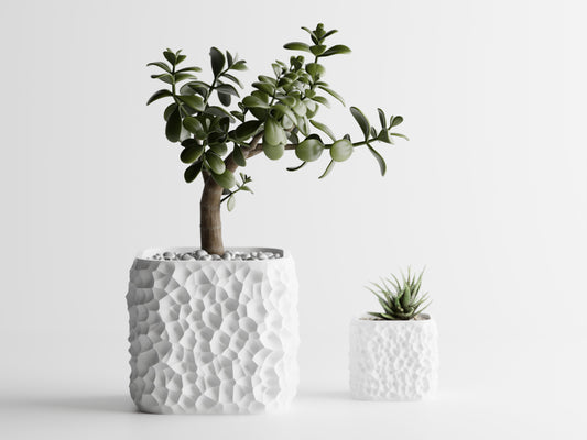 TerraForma